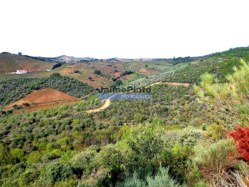 Helårsgrund i Alfandega da Fe, Braganca - foto 1