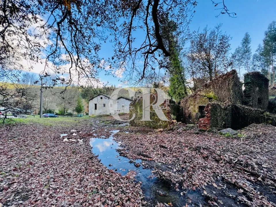Farm i Castanheira de Pera, Leiria - foto 1