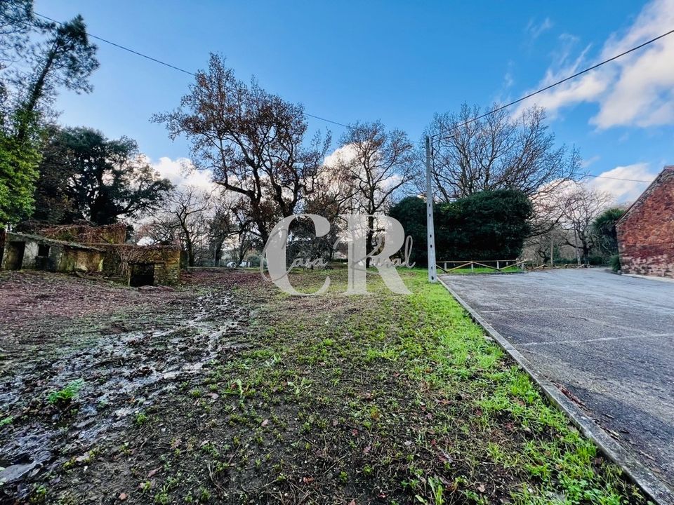 Farm i Castanheira de Pera, Leiria - foto 3