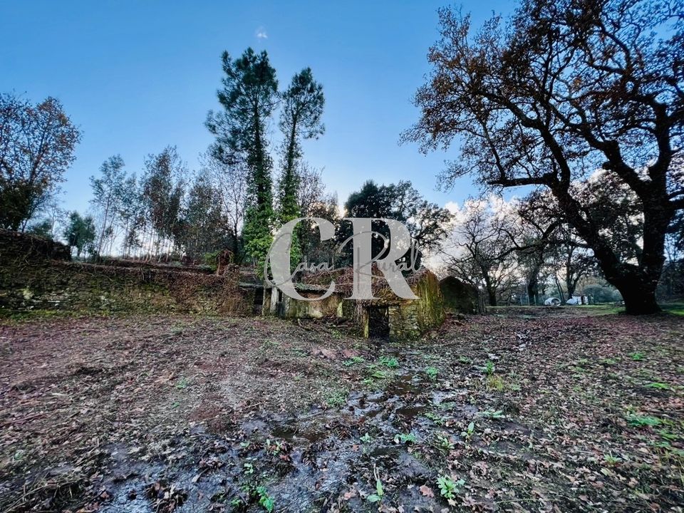 Farm i Castanheira de Pera, Leiria - foto 4