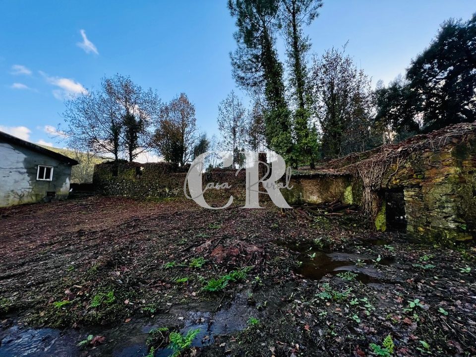 Farm i Castanheira de Pera, Leiria - foto 5