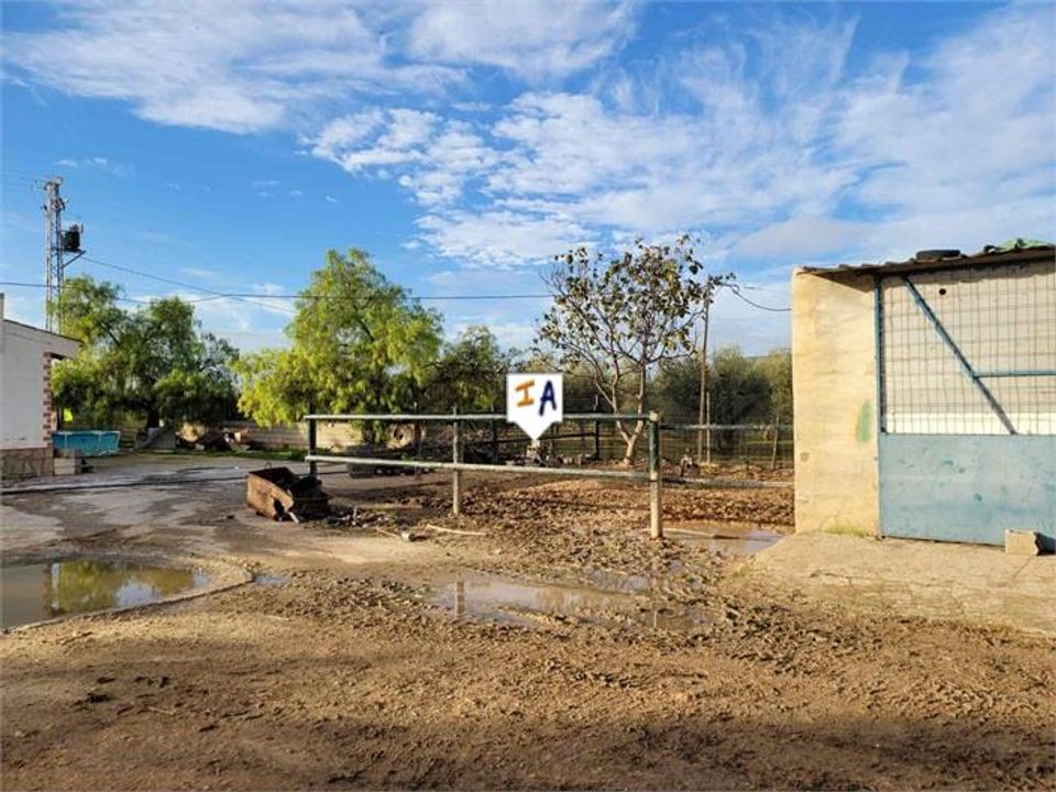 Finca i Mollina, Malaga - foto 2