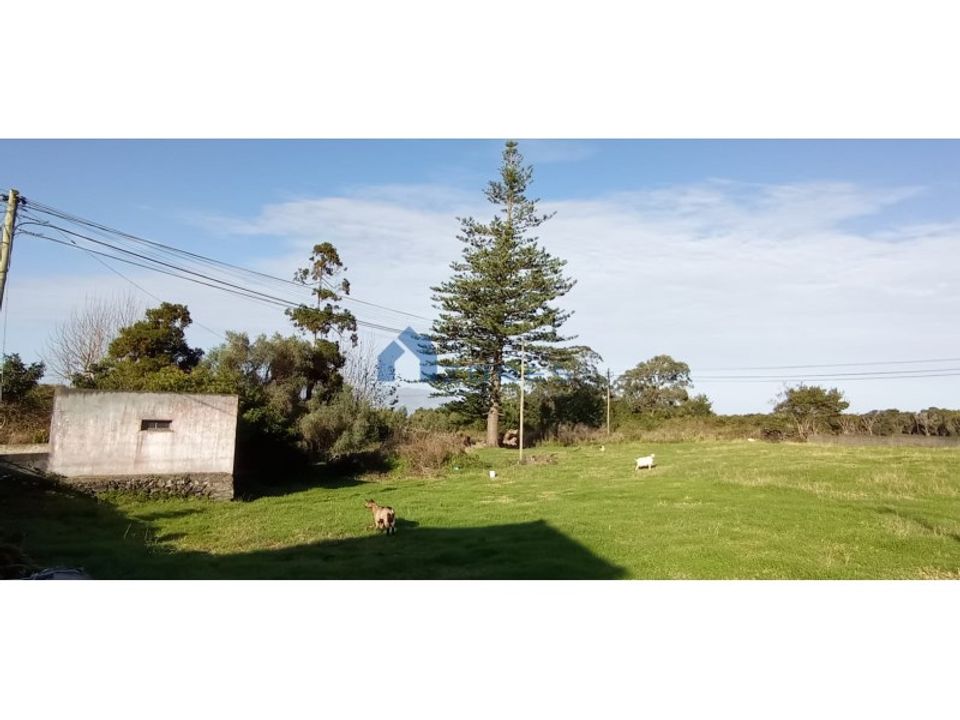 Helårsgrund i Madalena, Pico - foto 1