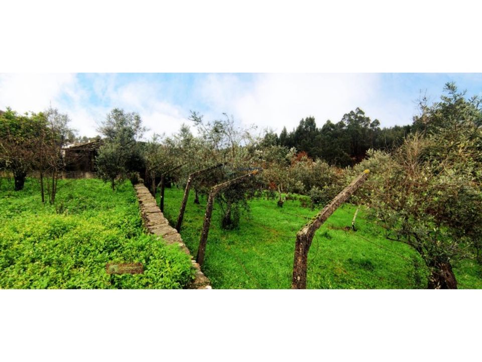 Villa i Pedrogao Grande, Leiria - foto 4
