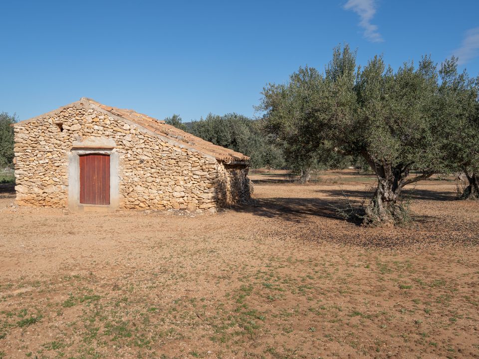 Finca i Tivenys, Tarragona - foto 1