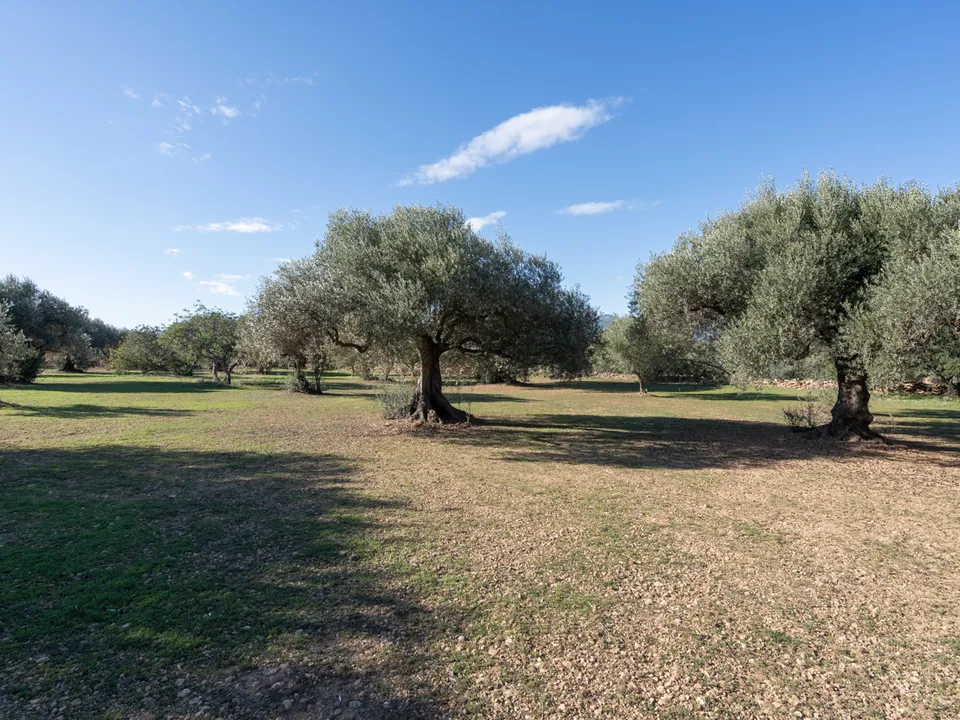 Finca i Tivenys, Tarragona - foto 1