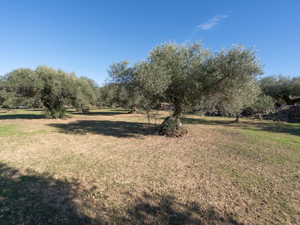 Finca i Tivenys, Tarragona - foto 2