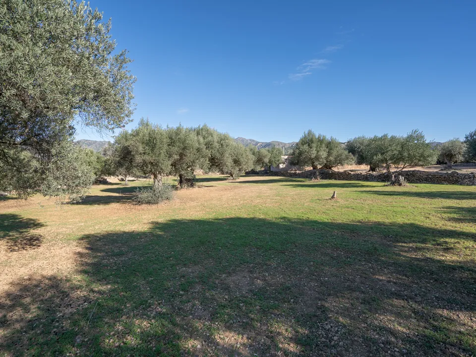 Finca i Tivenys, Tarragona - foto 3