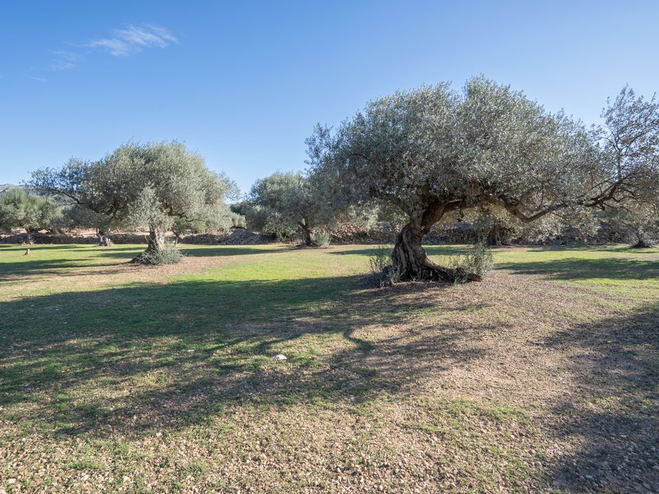 Finca i Tivenys, Tarragona - foto 5