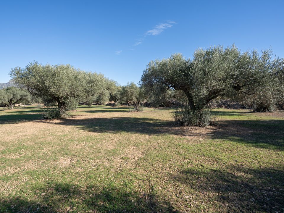 Finca i Tivenys, Tarragona - foto 4