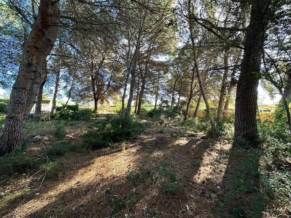 Helårsgrund i Calpe, Alicante - foto 4