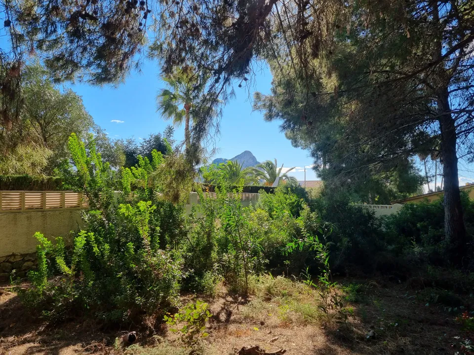 Helårsgrund i Calpe, Alicante - foto 1