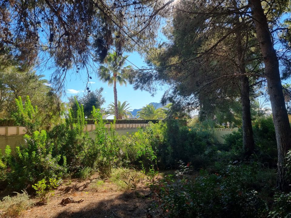 Helårsgrund i Calpe, Alicante - foto 2