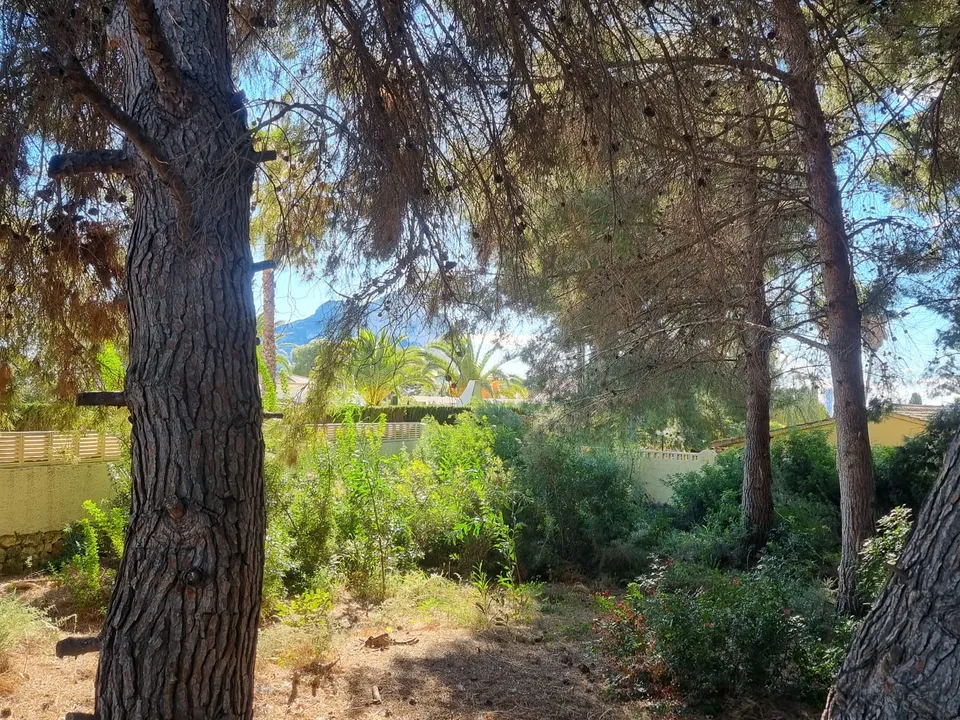 Helårsgrund i Calpe, Alicante - foto 3