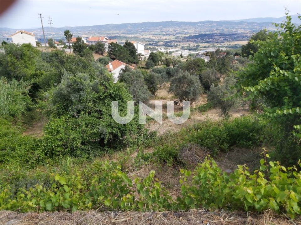 Helårsgrund i Vila Carvalho, Castelo Branco - foto 2