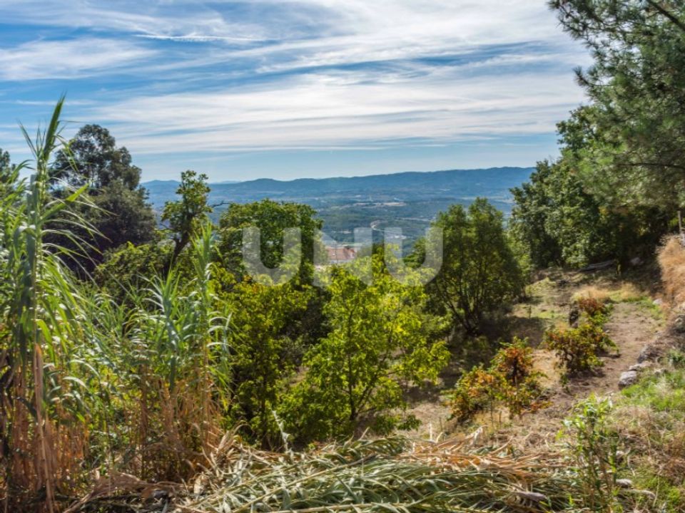 Helårsgrund i Vila Carvalho, Castelo Branco - foto 4