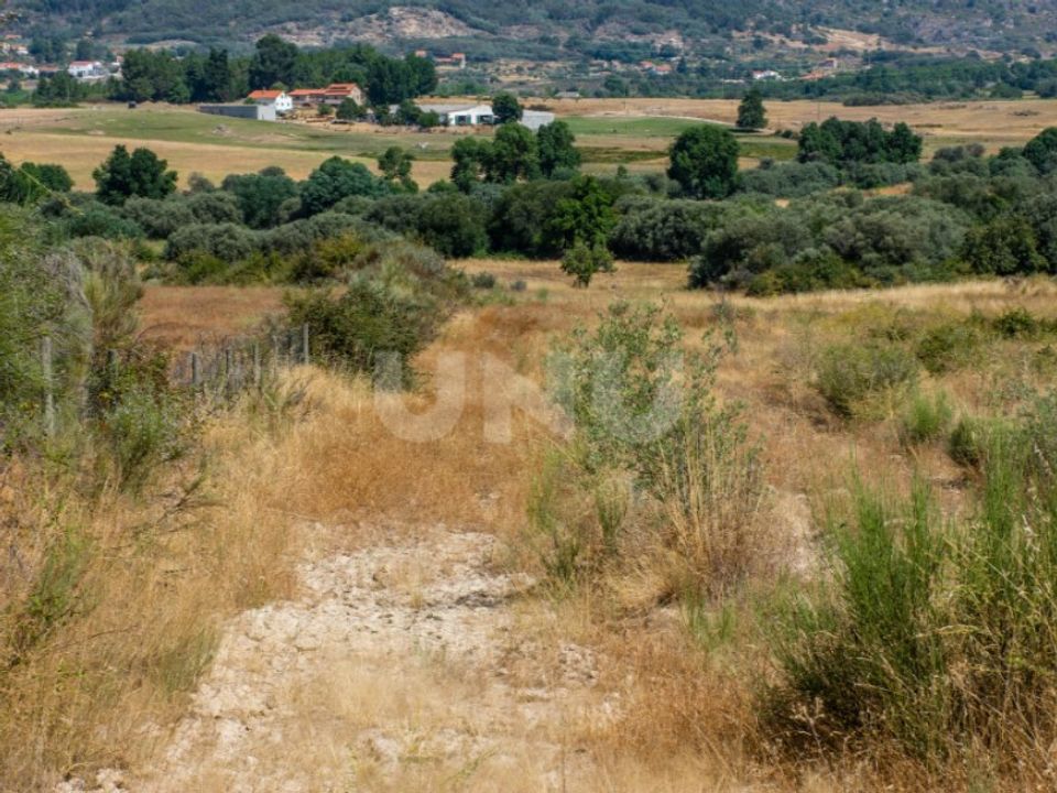 Helårsgrund i Belmonte, Castelo Branco - foto 5
