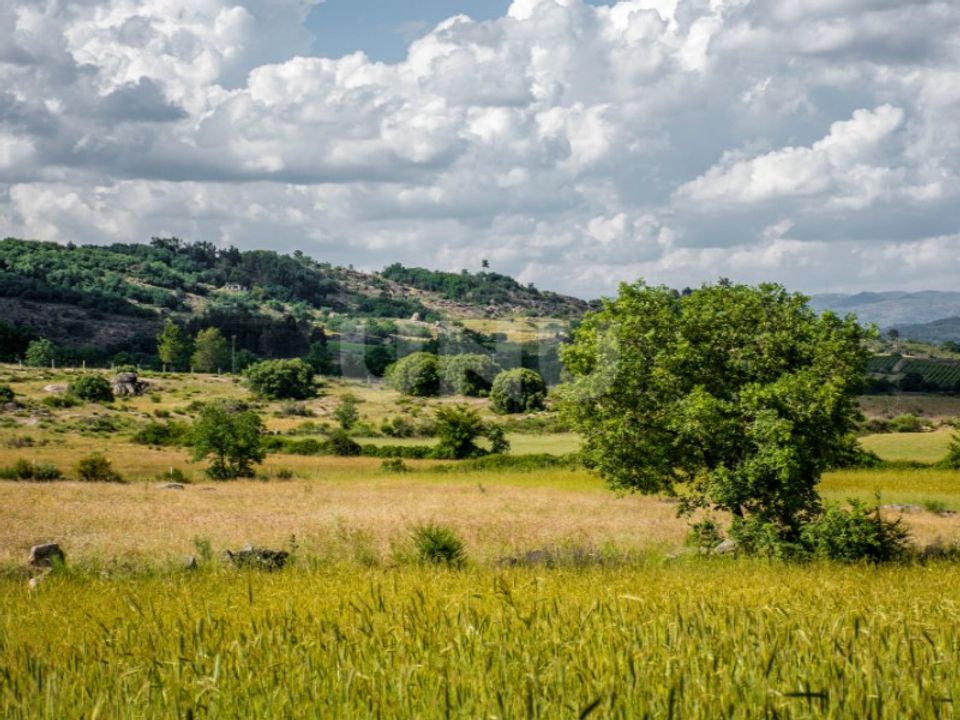 Helårsgrund i Caria, Castelo Branco - foto 1