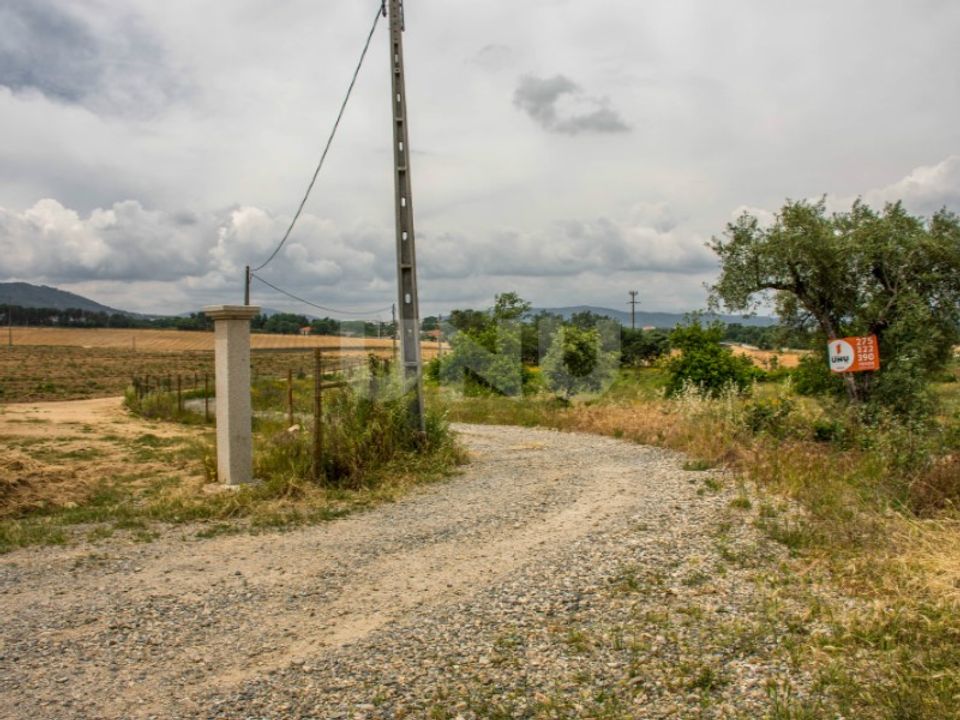 Tomt i Fundao, Castelo Branco - bilde 1