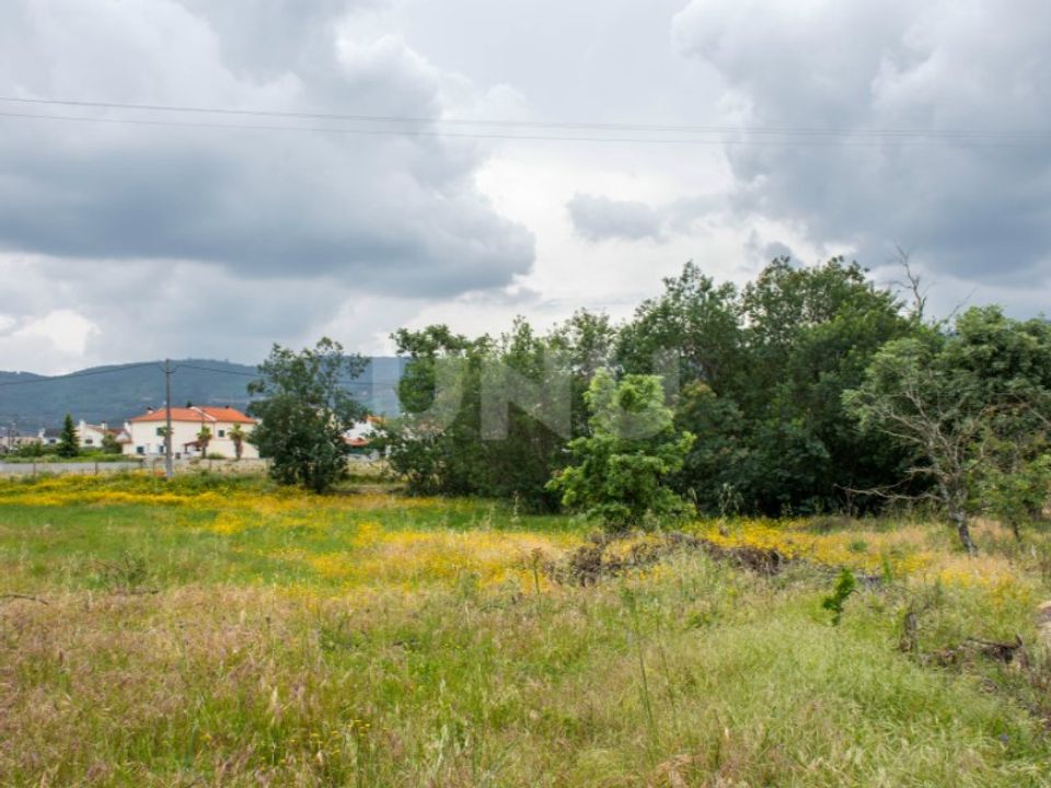 Tomt i Fundao, Castelo Branco - bilde 3