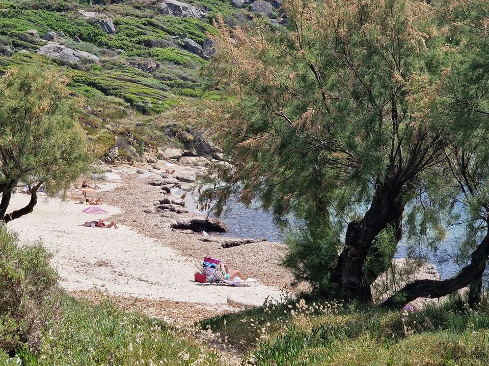 Landejendom i Corbara, Haute-Corse - foto 3