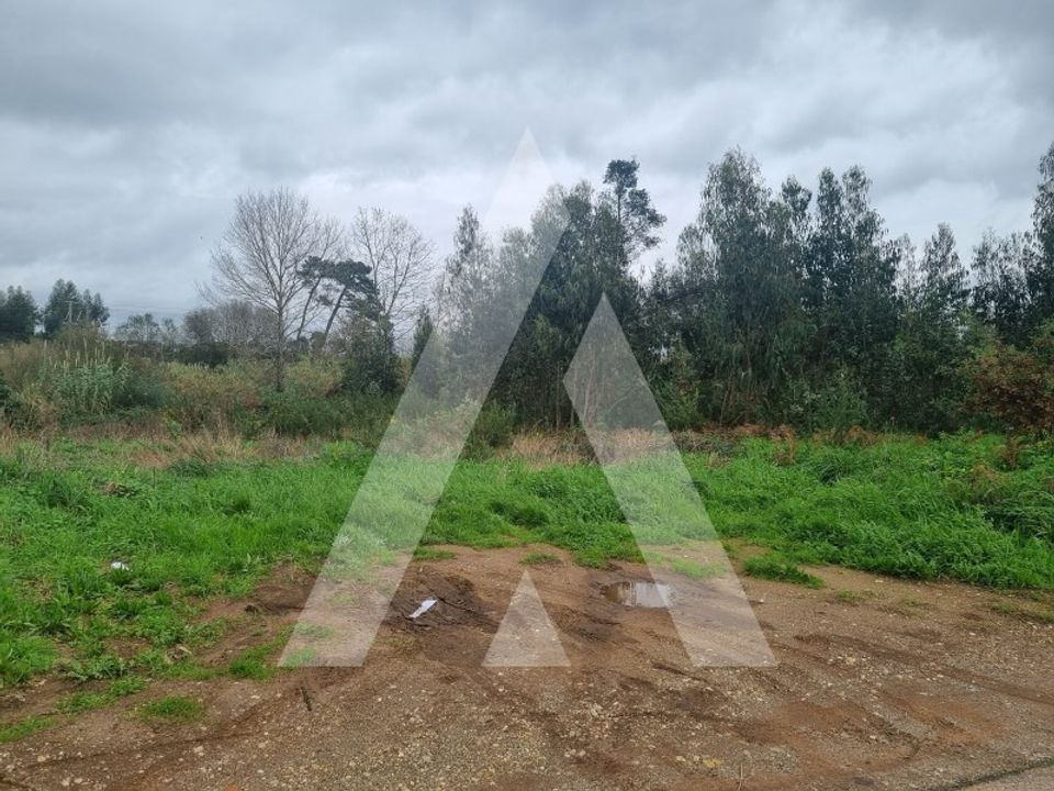 Helårsgrund i Barro, Aveiro - foto 2