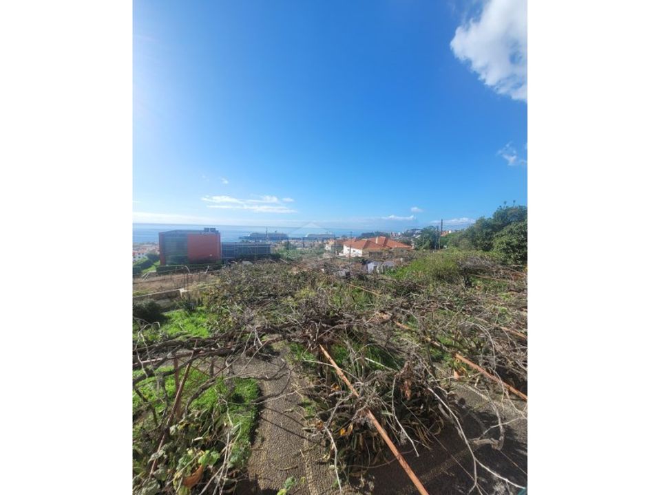 Granja a Funchal, Madeira - foto 3