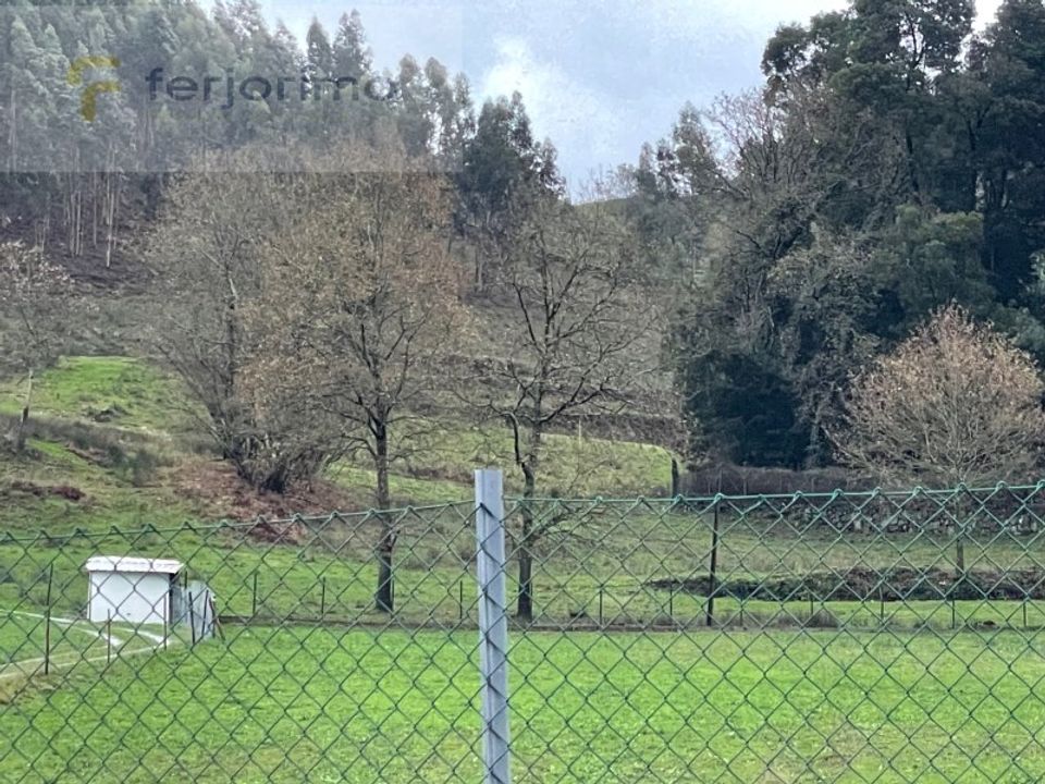 Farm i Guimaraes, Braga - foto 2