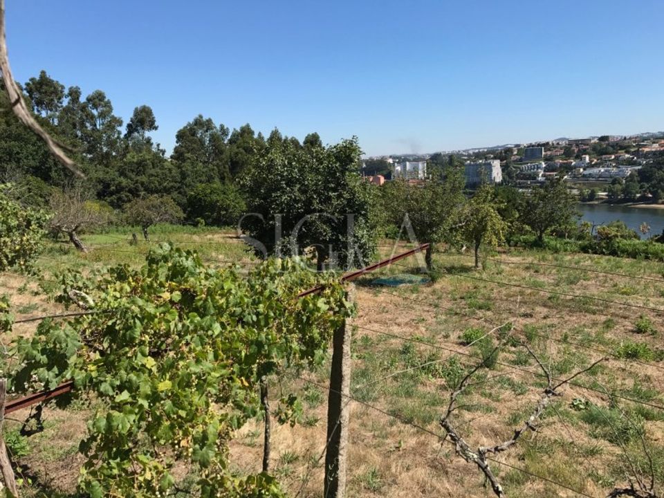 Helårsgrund i Oliveira do Douro, Porto - foto 3