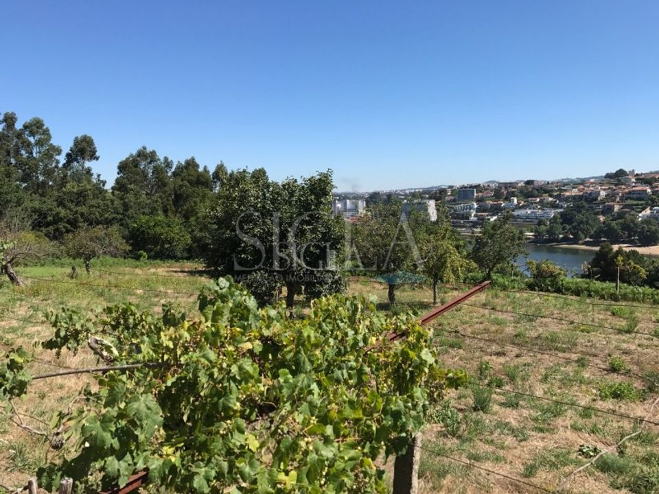 Helårsgrund i Oliveira do Douro, Porto - foto 4