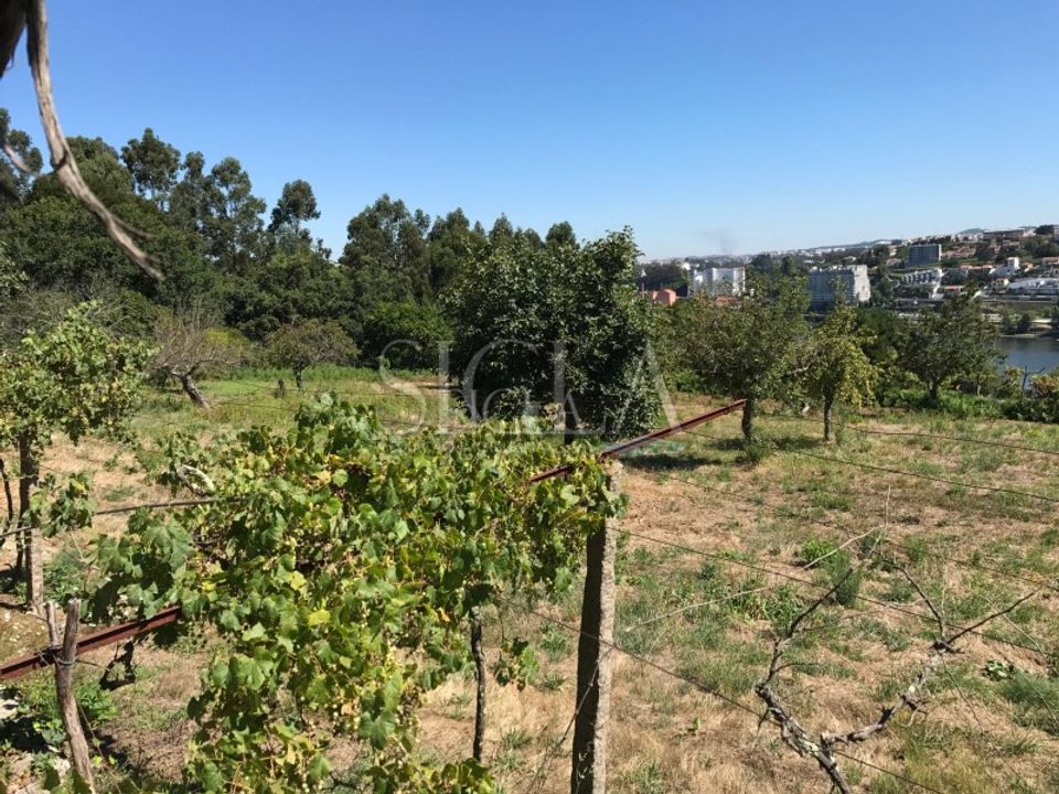 Helårsgrund i Oliveira do Douro, Porto - foto 5