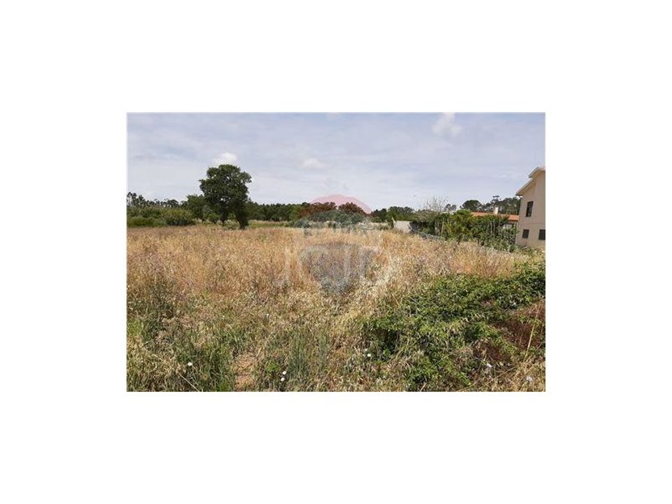 Helårsgrund i São João do Campo, Coimbra - foto 3