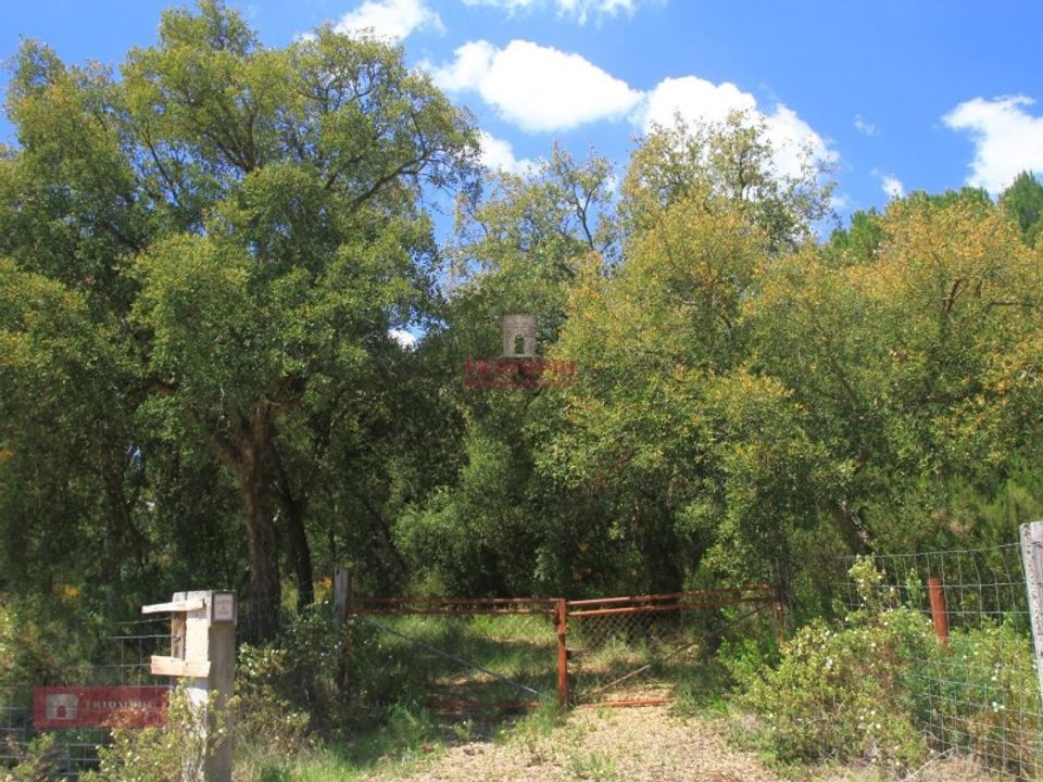 Helårsgrund i Tomar, Santarem - foto 5