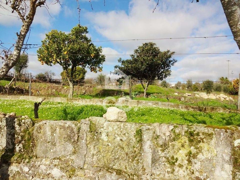 Helårsgrund i Viseu, Viseu - foto 3