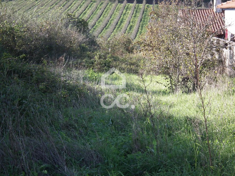 Helårsgrund i Bombarral, Leiria - foto 1
