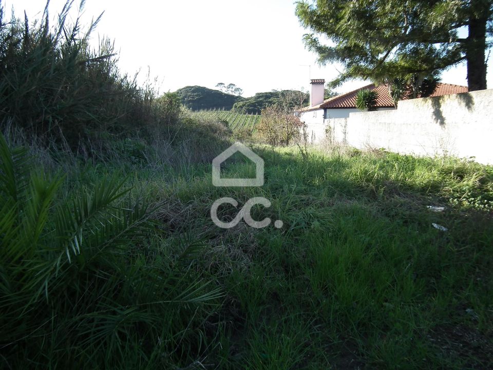 Helårsgrund i Bombarral, Leiria - foto 2