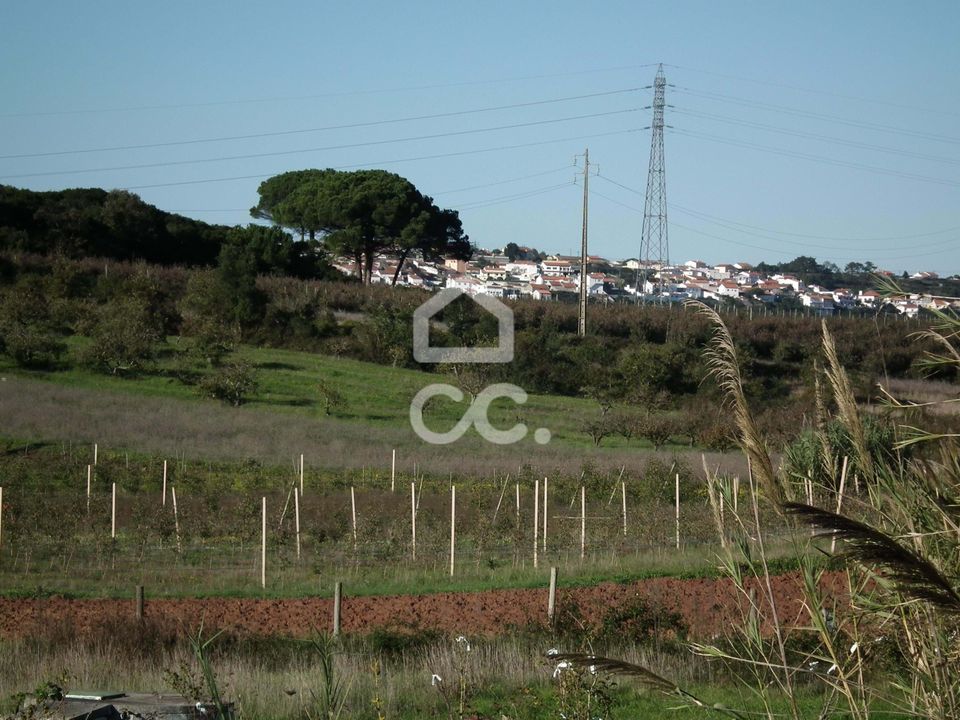 Helårsgrund i Bombarral, Leiria - foto 5