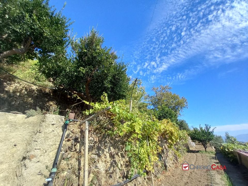 Villa a Messina, Messina - foto 4
