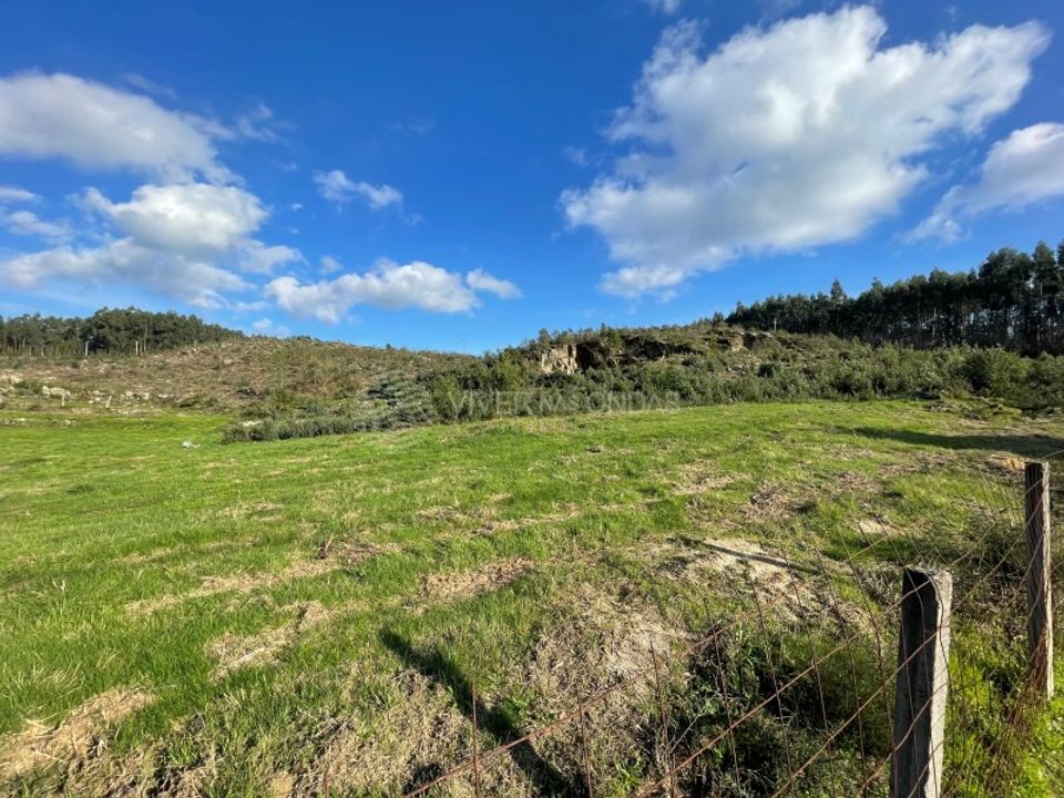 Helårsgrund i Penafiel, Porto - foto 3