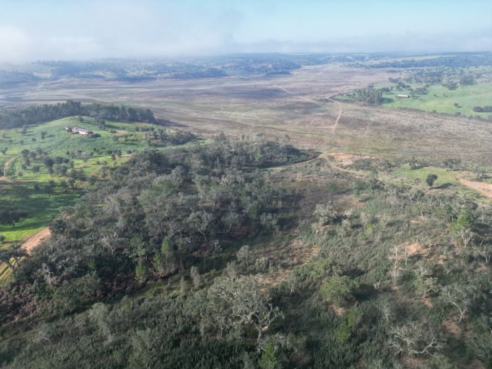 Helårsgrund i Sao Domingos e Vale de Agua, Setubal - foto 1