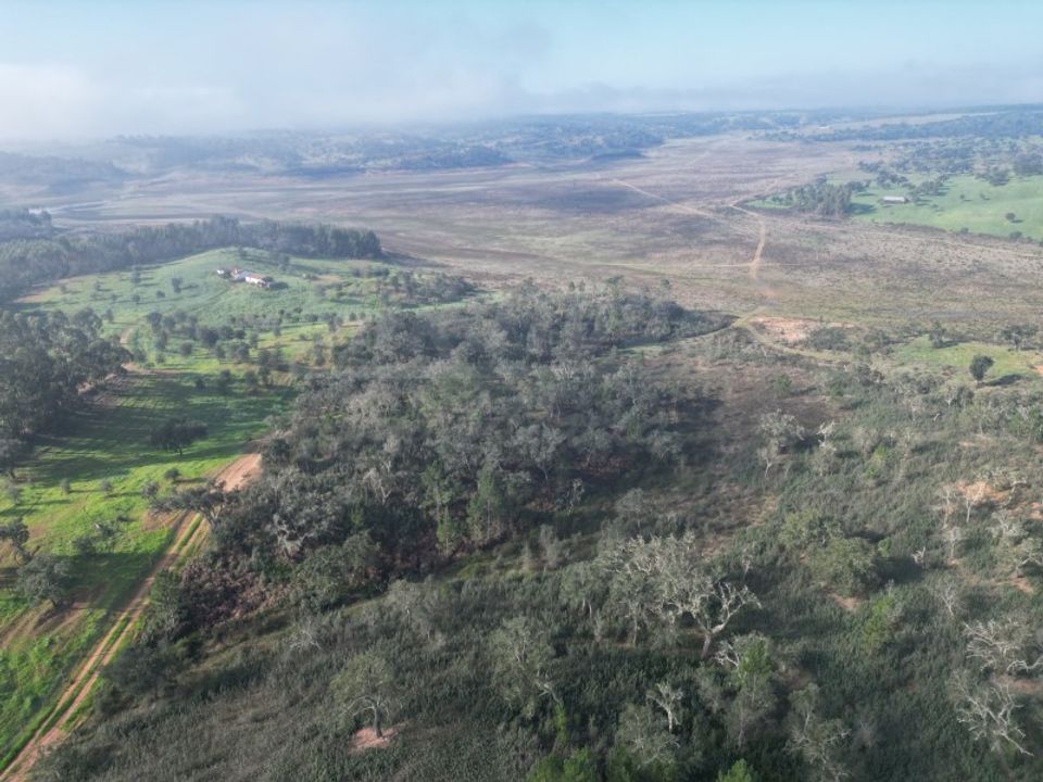 Helårsgrund i Sao Domingos e Vale de Agua, Setubal - foto 2