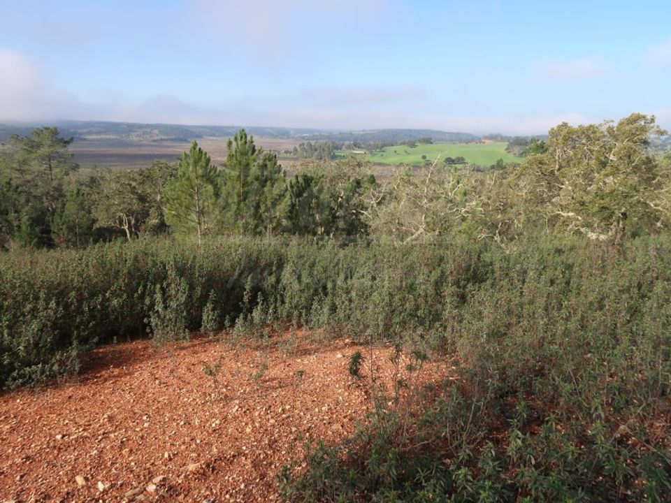 Helårsgrund i Sao Domingos e Vale de Agua, Setubal - foto 5