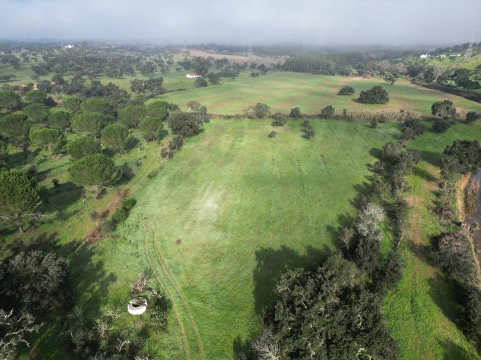 Farm i Sao Domingos e Vale de Agua, Setubal - foto 1