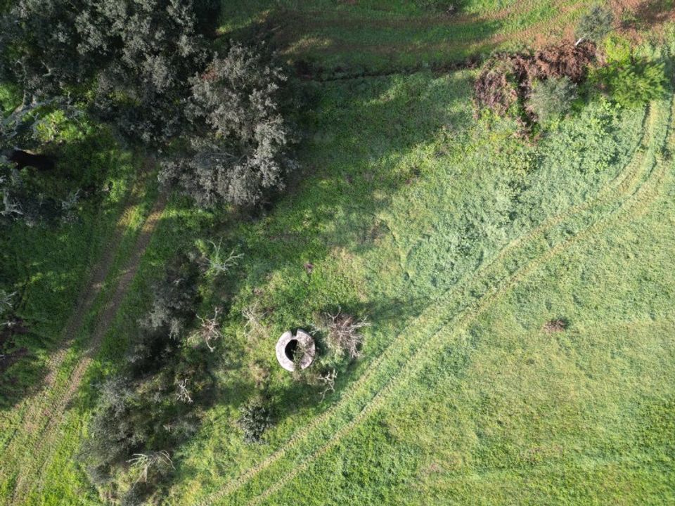 Farm i Sao Domingos e Vale de Agua, Setubal - foto 2