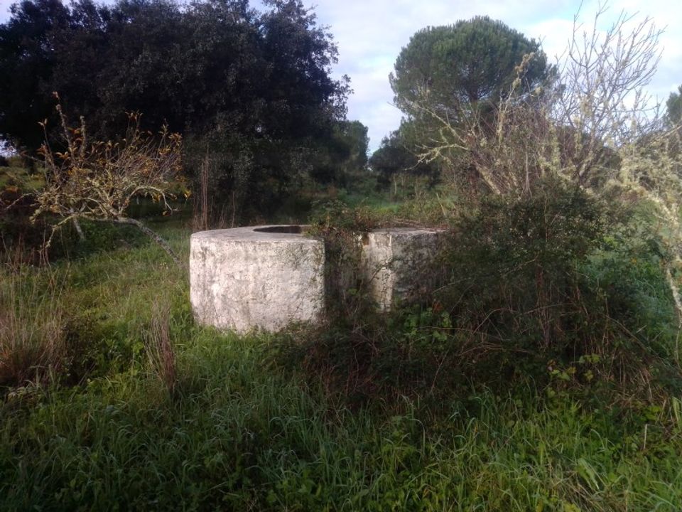 Farm i Sao Domingos e Vale de Agua, Setubal - foto 5