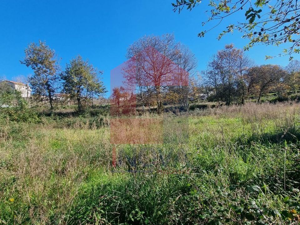 Helårsgrund i Barcelos, Braga - foto 5