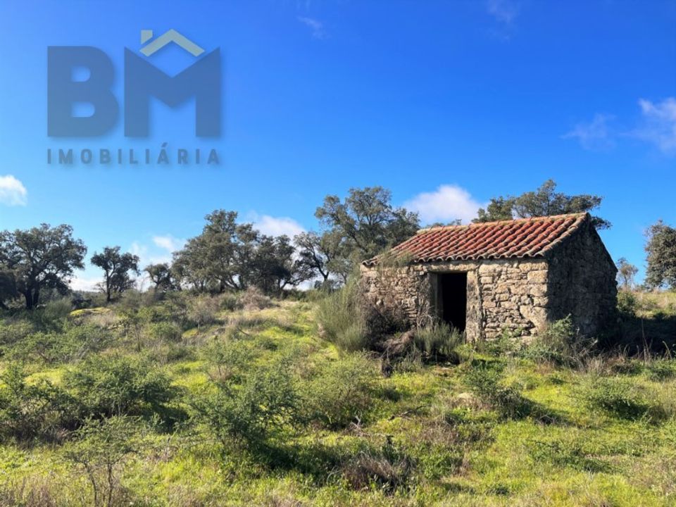Helårsgrund i Monsanto e Idanha-a-Velha, Castelo Branco - foto 3