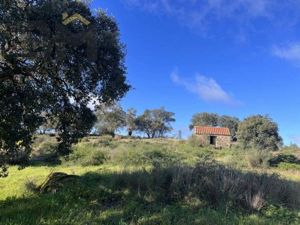 Helårsgrund i Monsanto e Idanha-a-Velha, Castelo Branco - foto 5
