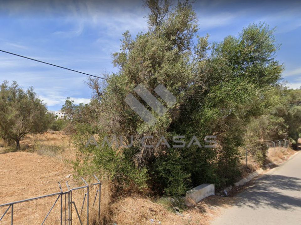 Helårsgrund i Silves, Faro - foto 2
