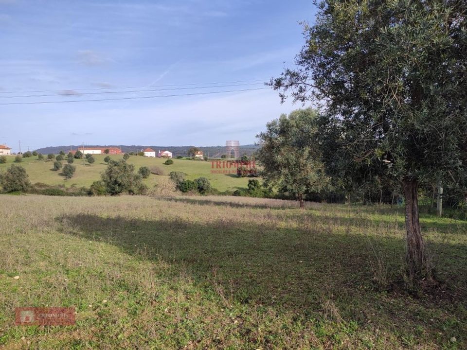 Helårsgrund i Tomar, Santarem - foto 5